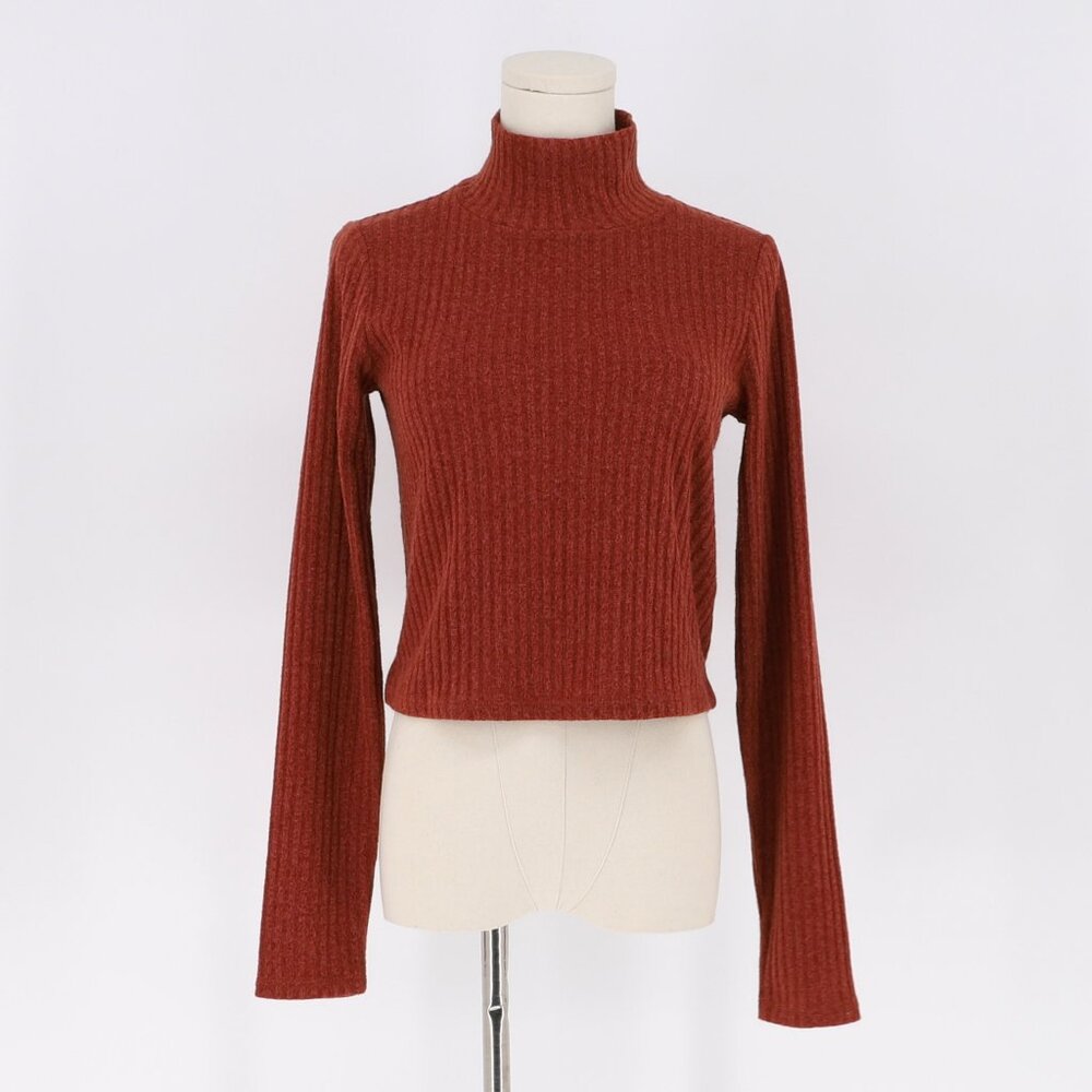 WILFRED FREE Tamu T-Shirt Cropped Ribbed Turtleneck in Brick Color Size M